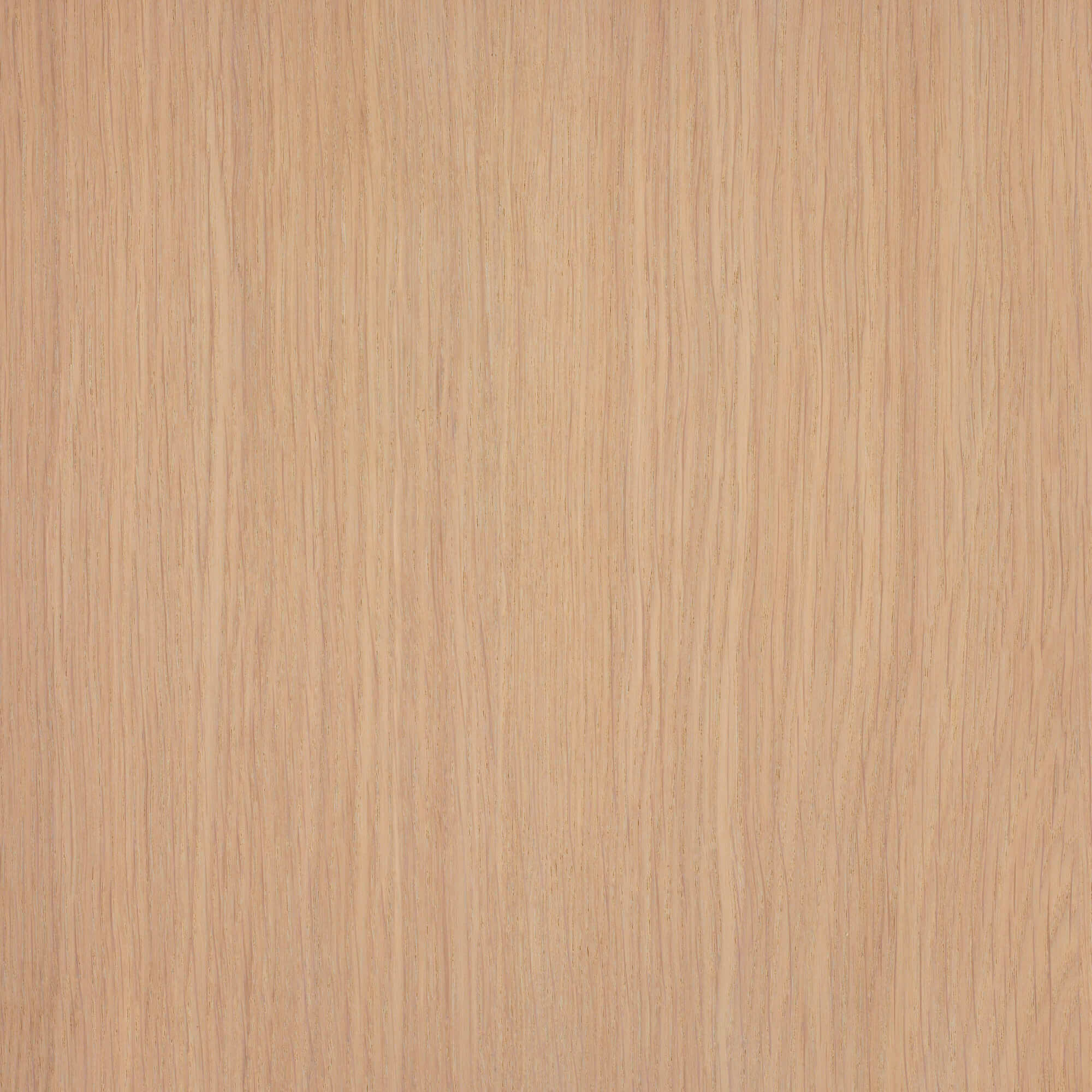 Product image 118